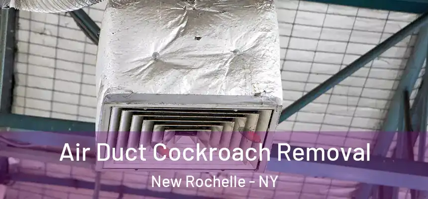  Air Duct Cockroach Removal New Rochelle - NY