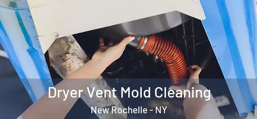  Dryer Vent Mold Cleaning New Rochelle - NY