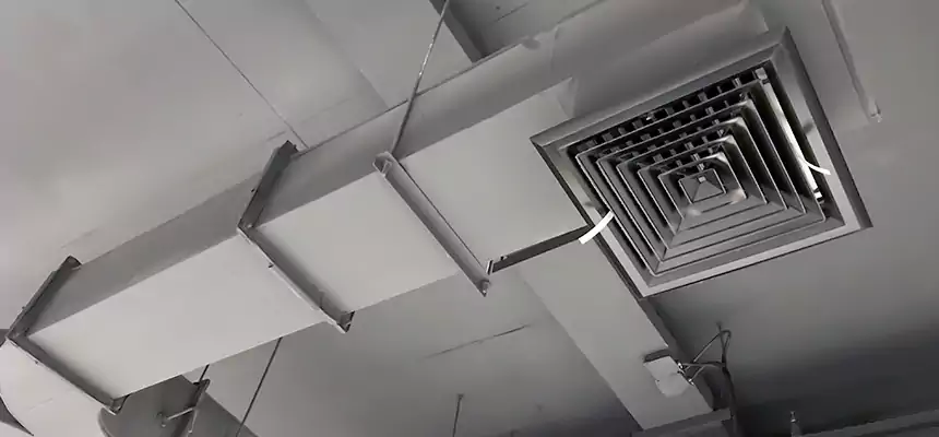 Restorative Allergy Relief Vent Cleaning – Coil, Blower & Housing Detail in New Rochelle