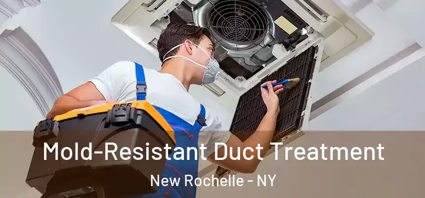  Mold-Resistant Duct Treatment New Rochelle - NY