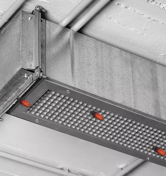 About Air Duct Cockroach Removal in New Rochelle, NY
