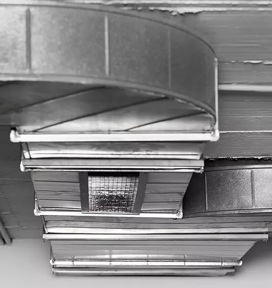 Professional Air Duct Pest Removal in New Rochelle, NY