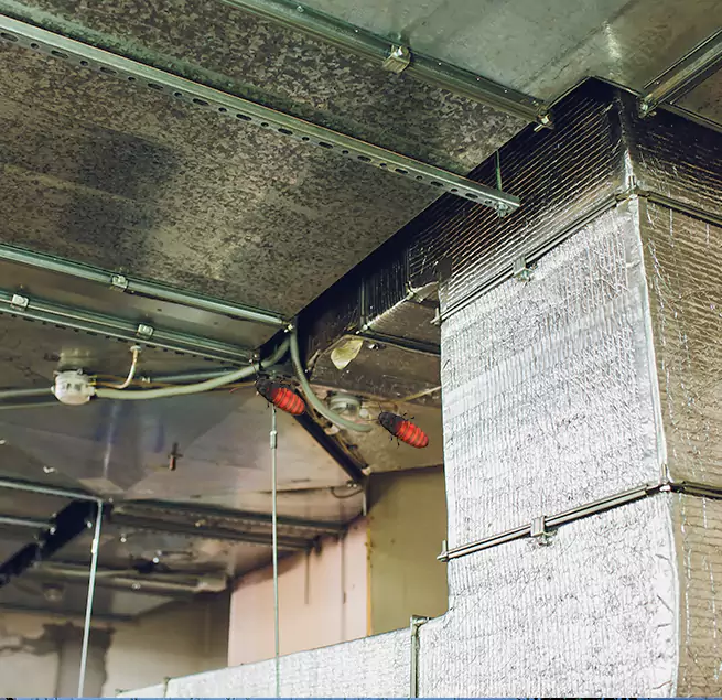 Why Homeowners & Businesses Trust Us in New Rochelle, NY?