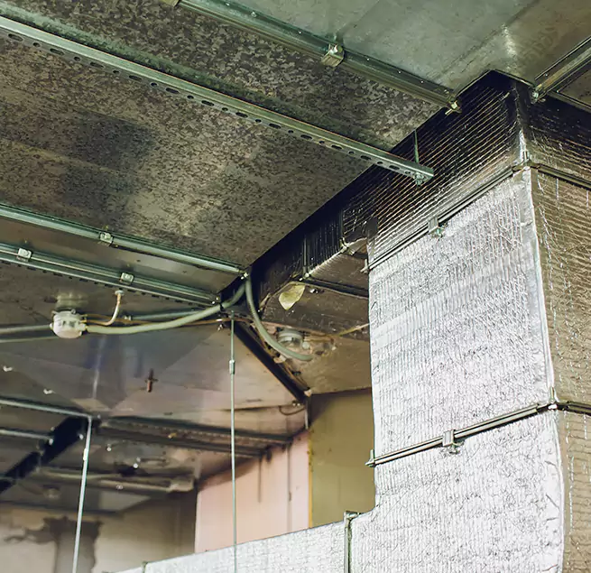 Why Homeowners & Businesses Trust Us in New Rochelle, NY?